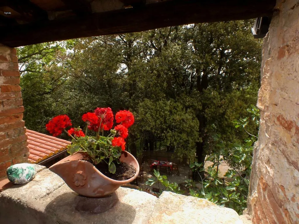 Casa Mazzoni Guest House Roccastrada