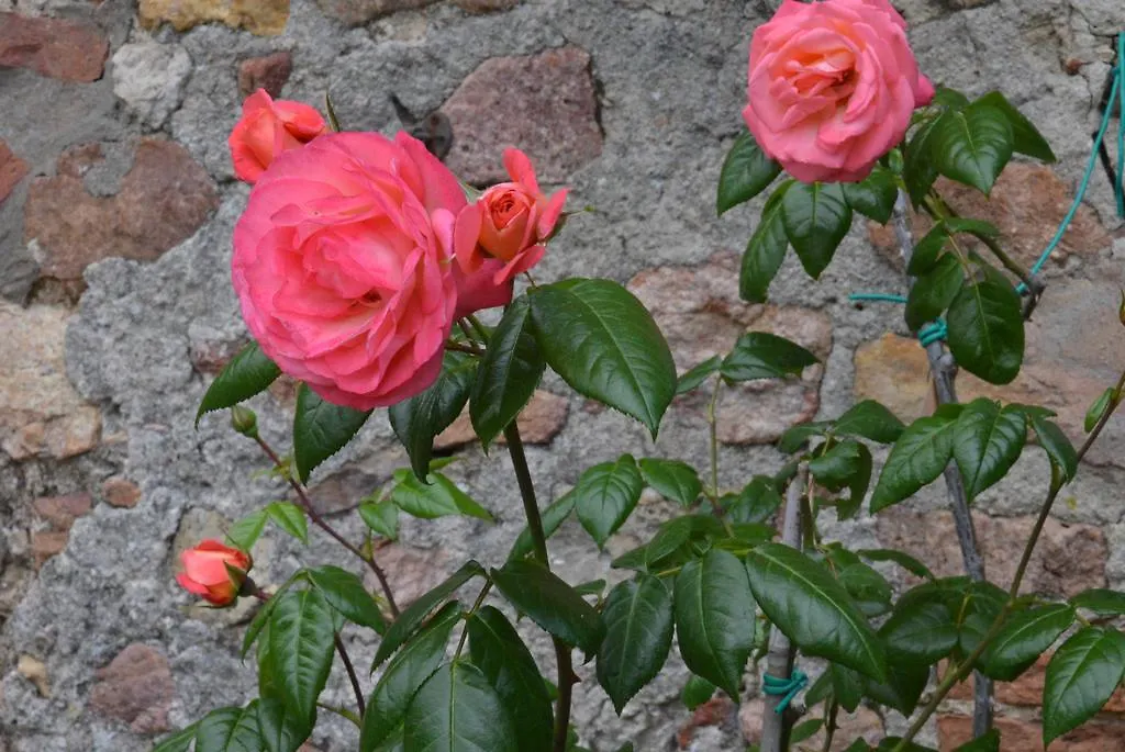 Country house Casa Mazzoni Guest House Roccastrada