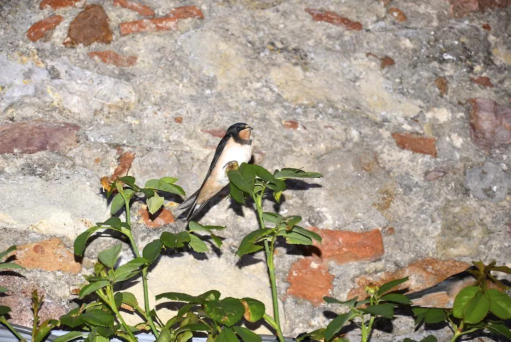 Country house Casa Mazzoni Guest House Roccastrada
