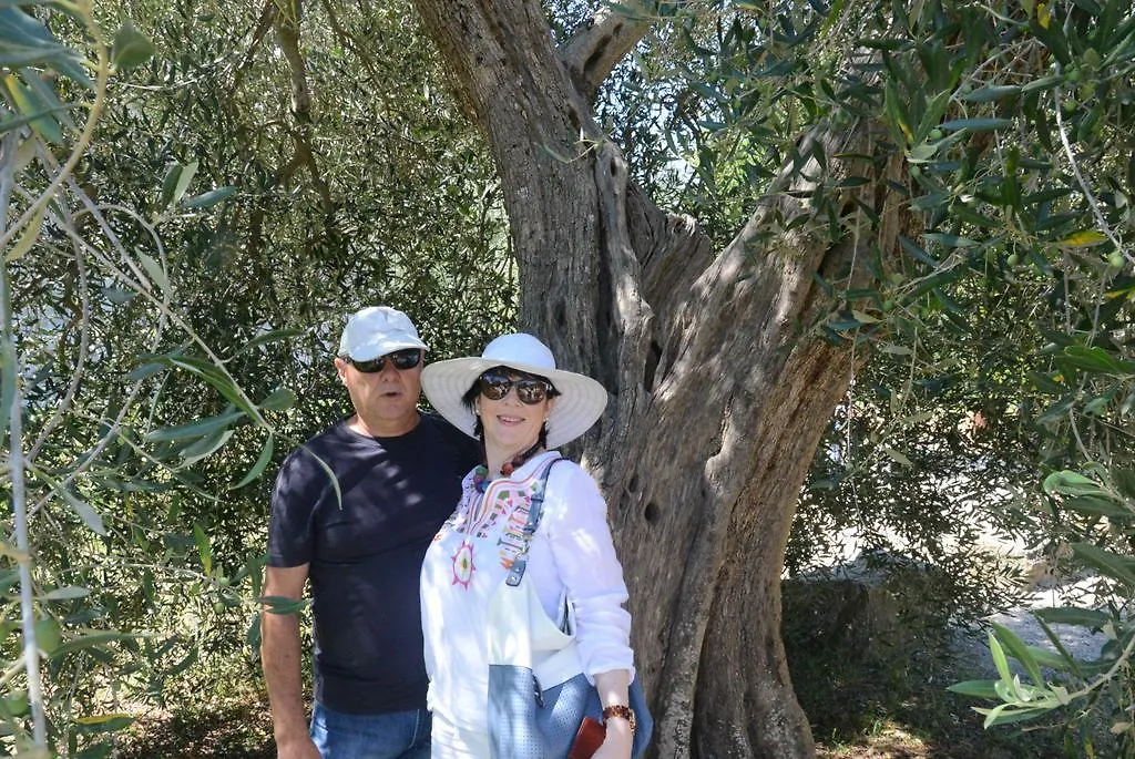 Casa Mazzoni Guest House Roccastrada